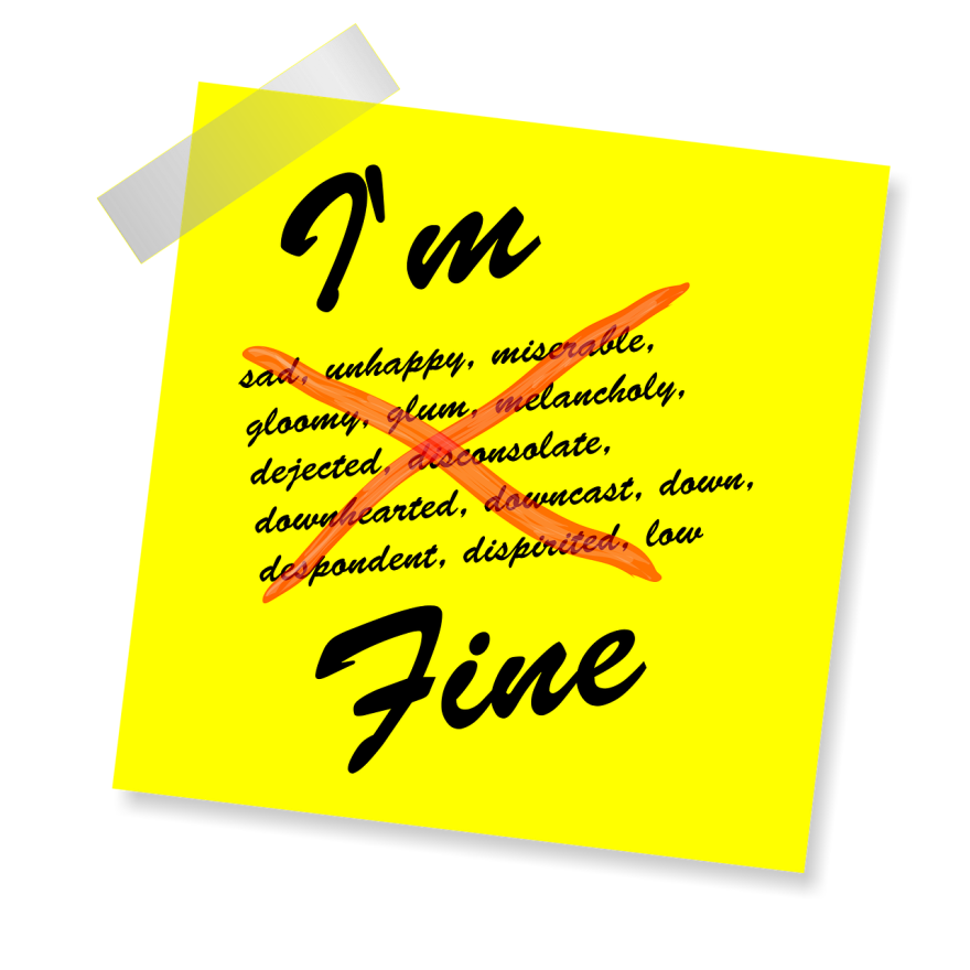 What does ‘fine’ mean? | SENBlogger